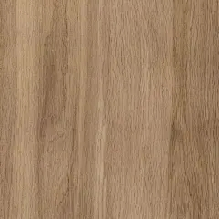 dsg1