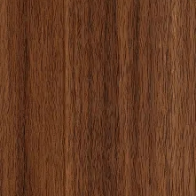 dsg2